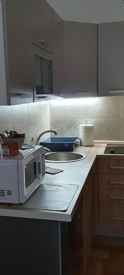 Apartman Tim Lux 1 Vrnjačka Banja Buitenkant foto